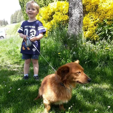 Apartment Unterhof *