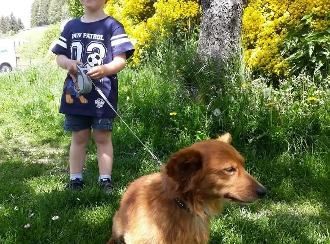 Apartment Unterhof *